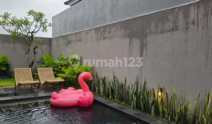 Villa Sewa Tahunan di Umalas Kerobokan Dekat Berawa & Seminyak