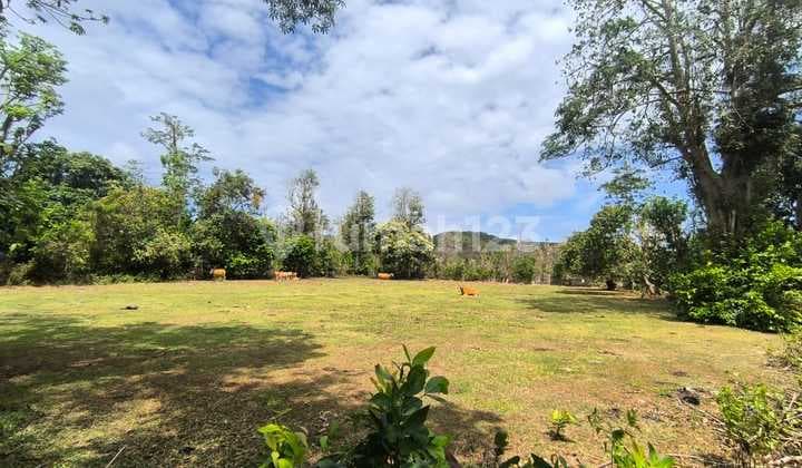 Tanah Ideal Untuk Villa Komplek Di Pantai Balangan