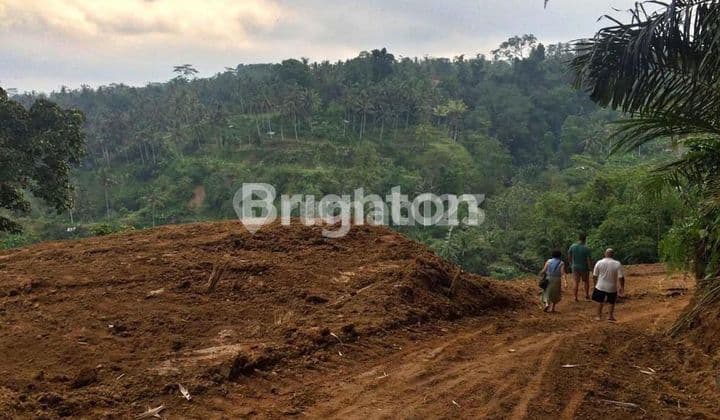 Dijual Tanah View Lembah Dan Sunset Di Tegal Alang Bagus Buat Vila/ Hotel