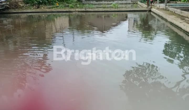 RUMAH KOMPLIT DENGAN EMPANG IKAN , KANDANG AYAM. DAN.KEBUN DI SAMPING TAMAN.YASMIN BOGOR
