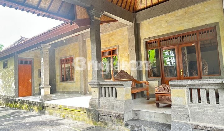 Lokasi Bagus Buat Bisnis dan Tempat Tinggal di Mas Ubud Bali ?
