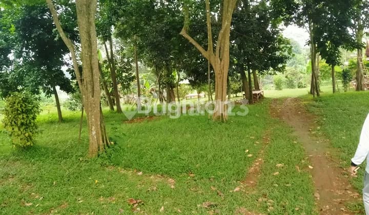 Kebon Land in Gunung Sindur 9500 Square Meters Price 2 Million Per Square Meter