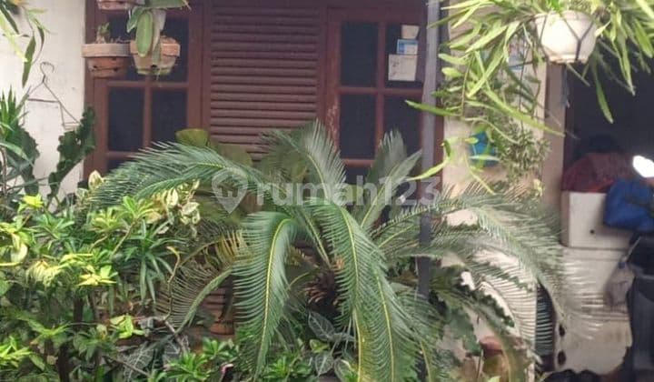 Di Jual Rumah Murah Lokasi Strategis