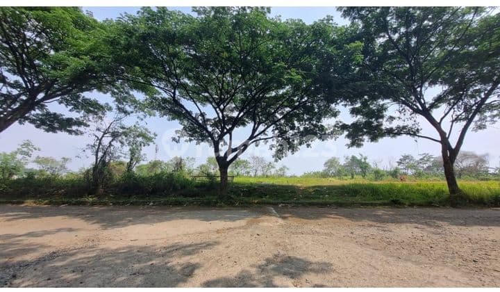 Land For Sale In Grand Sentul City