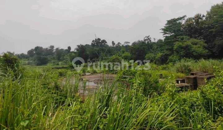 Dijual Tanah Luas Di Subang