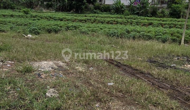 Land For Sale In Parung Bogor