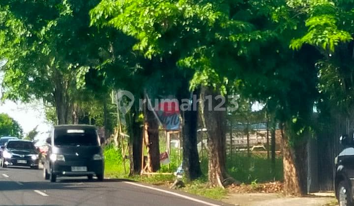 For Rent 1000m2 Land on Jl Pumorouw, Suitable for Business