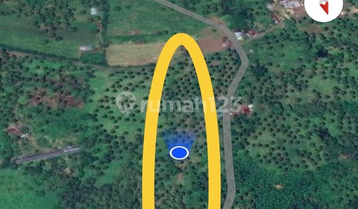 Tanah 8 H Di Wori Dekat Perempatan Pandu Cocok Buat Investasi