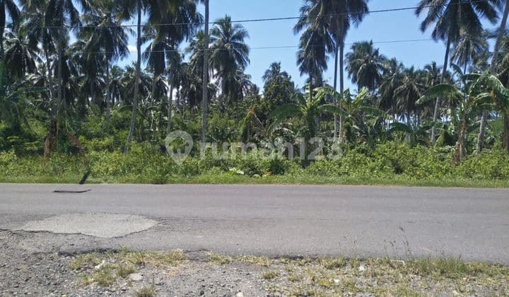 Tanah 2 H Di Kema Cocok Buat Industri Dan Gudang
