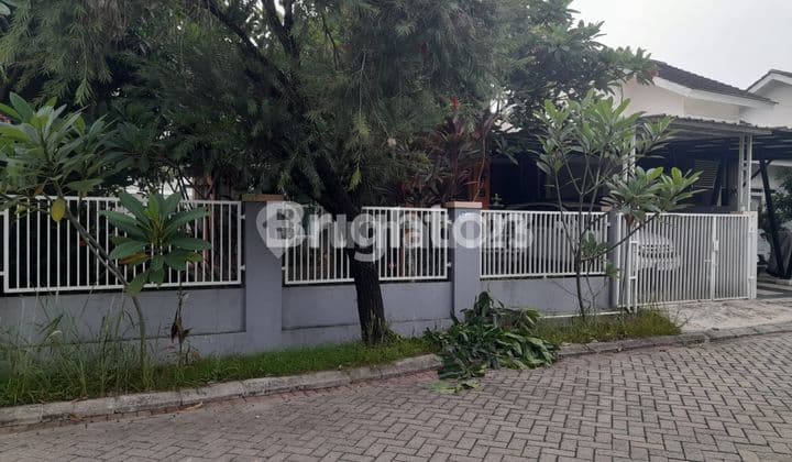 Rumah 1 lantai yg rapi dan asri diatas tanah yg luas dengan taman yg asri di bogor