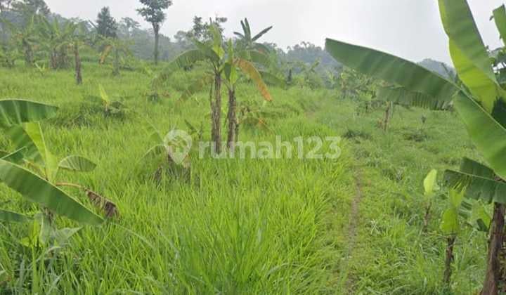 0423.118 Jual Tanah Lelang Pasuruan di Prigen di Villa Vip Garden