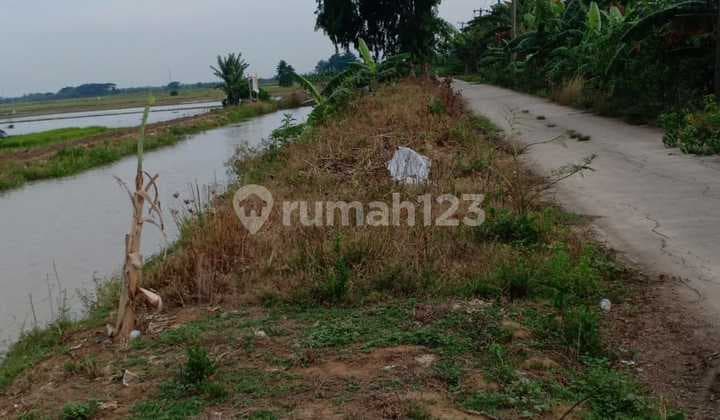 Dijual Lahan Sawah 1 Hektar Di Pinggir Jalan Besar Tambun Bekasi