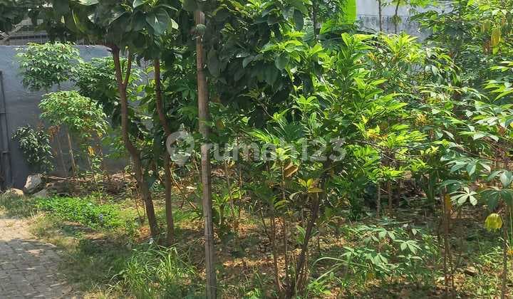 Tanah Strategis Dekat Kampus UI Berada di Lingkungan Perumahan Kukusan Beji Depok Jawa Barat