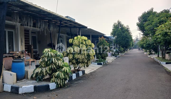 Rumah Strategis Dekat Stasiun Posisi Hook Bebas Banjir Di Cilebut Bogor Jawa Barat