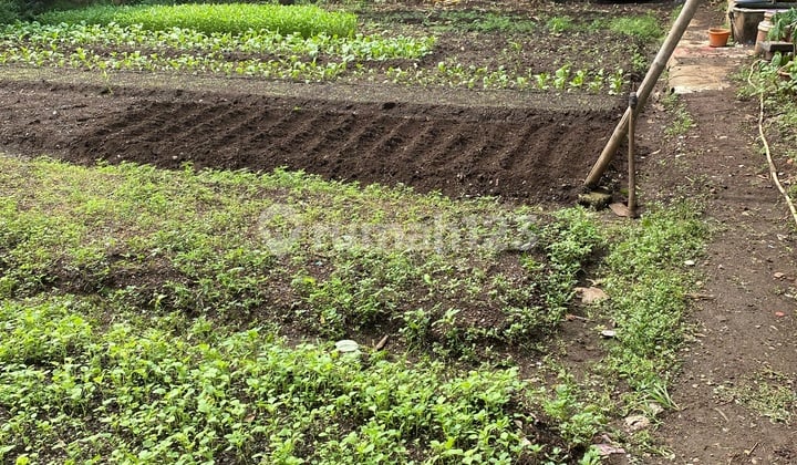 Dijual Cepat Tanah Cocok Untuk Usaha Di Mustikasari Bekasi