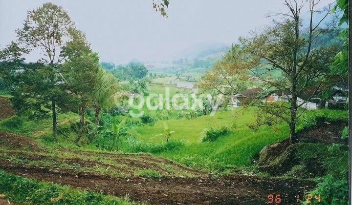 Tanah Trawas Lahan Sumber Air Debit Tinggi