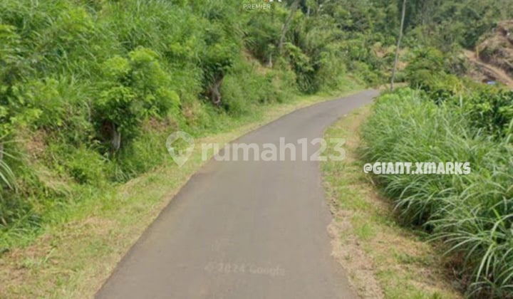 Land with Asphalt Road Access, Affordable Price in Precet Dalisodo Wagir.
