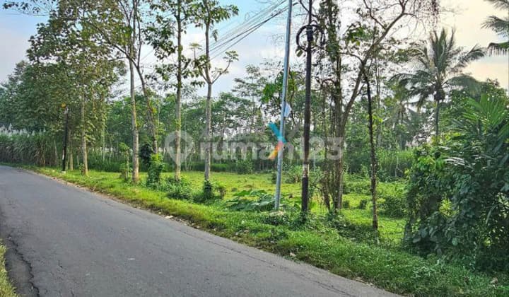 Tanah Siap Bangun di Jalan Gunung Jati Jabung Singosari Malang