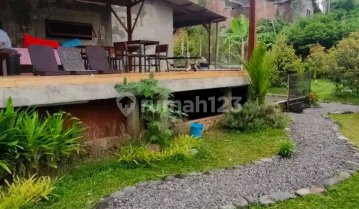 Business House Ex Cafe Vibe Alam In Sulfat Malang