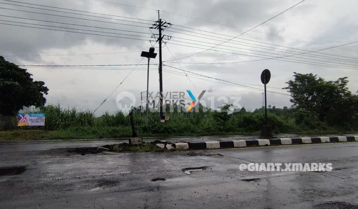 Tanah Strategis Di Poros Jalan Trowulan Mojokerto Jatim
