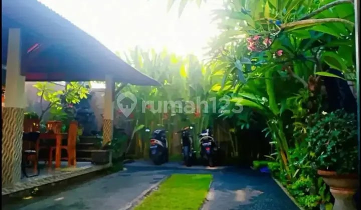 Kos Elit - Unique House: Utk Internship, Kerja, Holiday