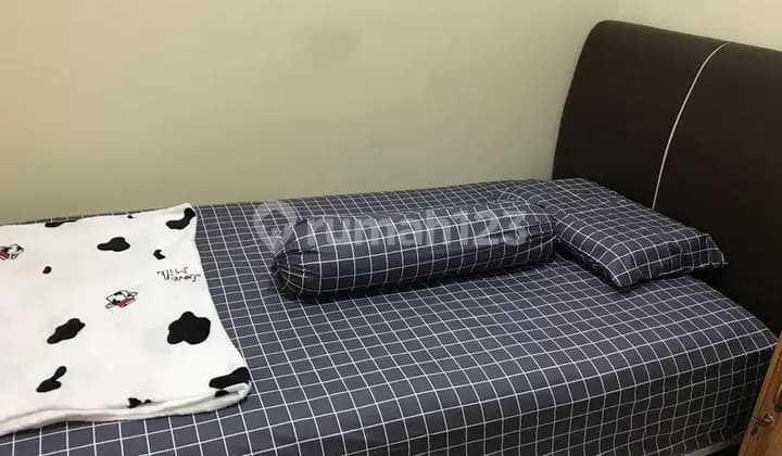 Sewa kos cendrawasih gor