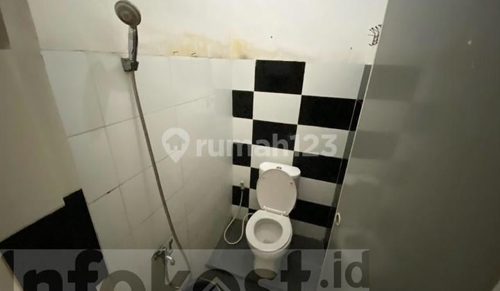 Elive Kost