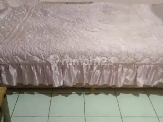 Kamar dikossin