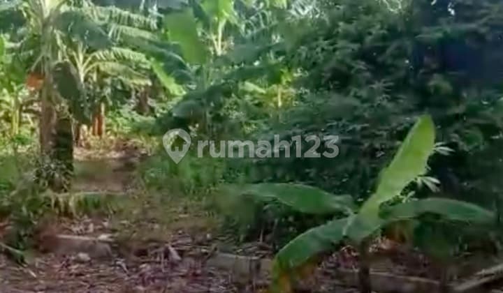 Dijual Tanah 3200sqm 800m ke Tol Antasari - Depok