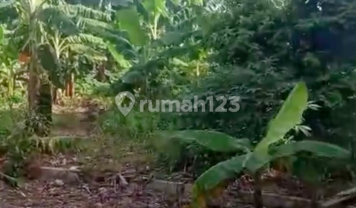 Dijual Tanah 3200sqm 800m ke Tol Antasari - Depok