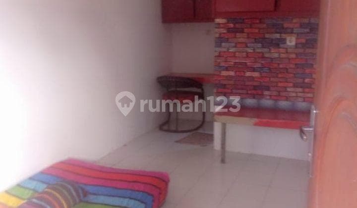 Kost Isak Abyssinian