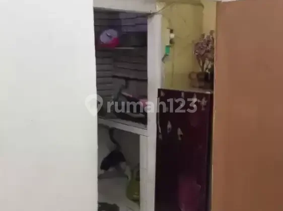 Sewa kontrakan murah