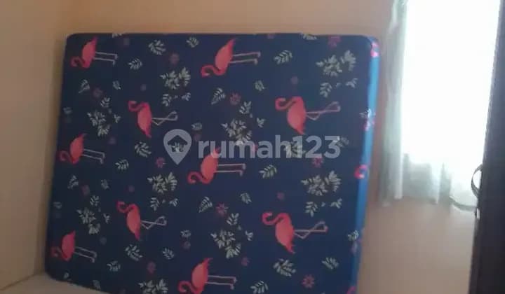 Men's Boarding House in Papanggo, Tanjung Priok