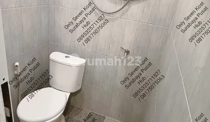 Kost Kos Campur Single Praban Tunjungan Tidar Pemuda Kranggan