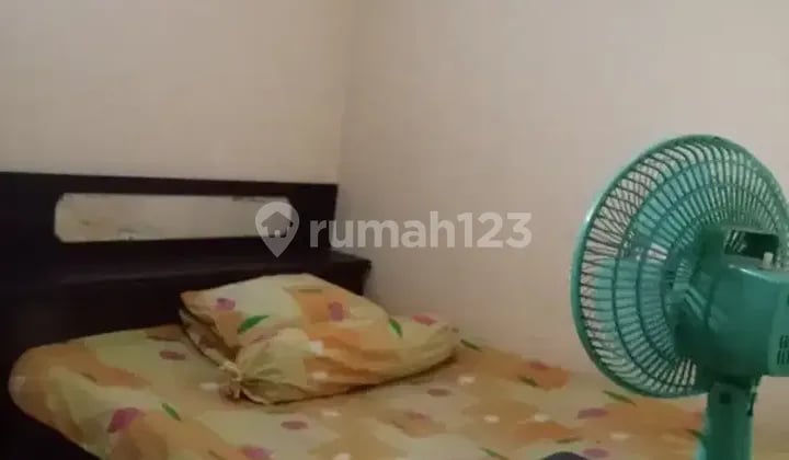 Accept male boarders