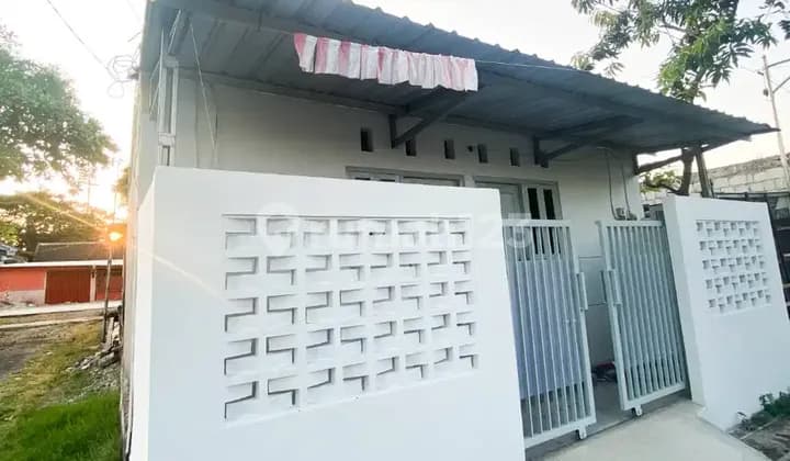 Kos Syariah Sharia Inn