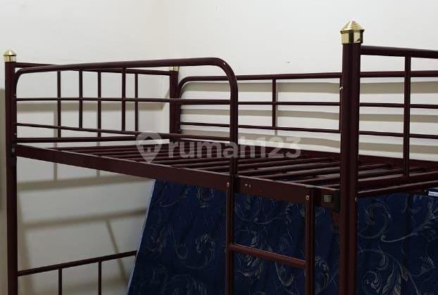 Kost Gajah Khusus Cewek Chinese Medan Area