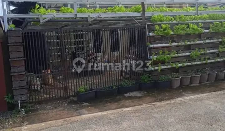 Kost Putri di Kayutangi