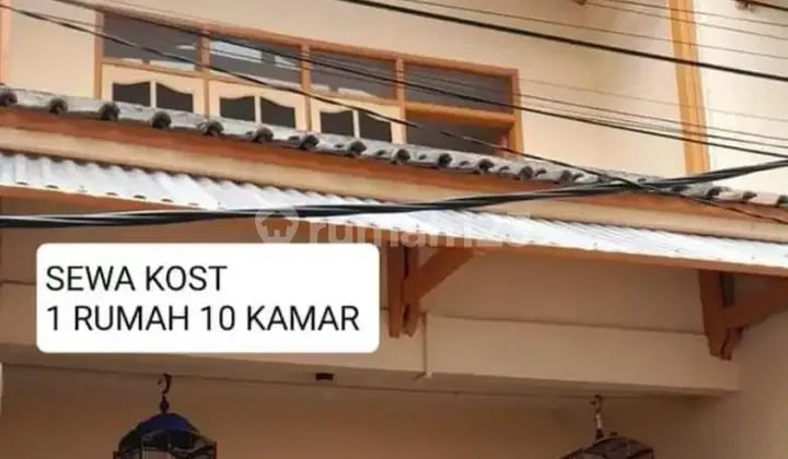 KOST-KOSTAN ALAM