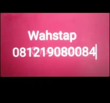 Kosan salemba tengah