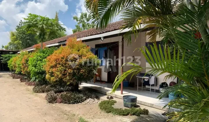 Kos Putra Syariah Gentan