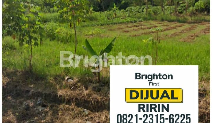 TANAH STRATEGIS UNTUK USAHA