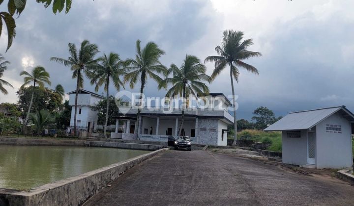 LAHAN LUAS 9367M² + KOLAM BUDIDAYA IKAN/UDANG