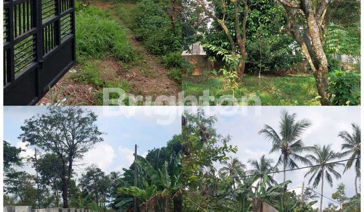 KEBUN 6815M² PANDEGLANG BANTEN