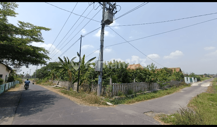 Tanah Kece Bonus Joglo Dan Kebun Buah Di Pengging Boyolali