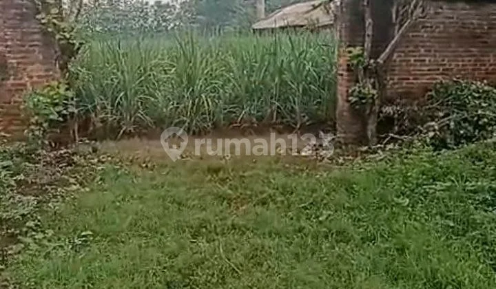 Cheap Land Near Main Road in Ngadiluwih Kediri Cheap Land Near Main Road in Ngadiluwih Kediri