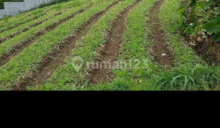 Tanah Tinggi View Alam Yg Menyejukkan Kalbu Di Tawangmangu Tanah Tinggi View Alam Yg Menyejukkan Kalbu Di Tawangmangu