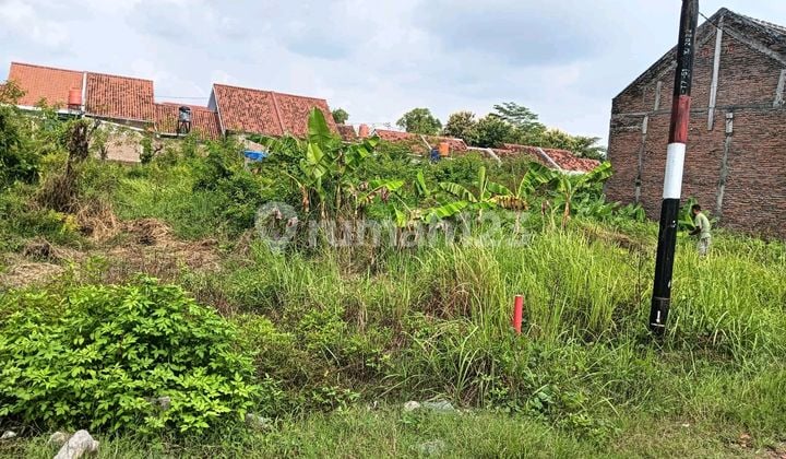 Tanah Cakep Murah View Perumahan di Waru Baki Sukoharjo