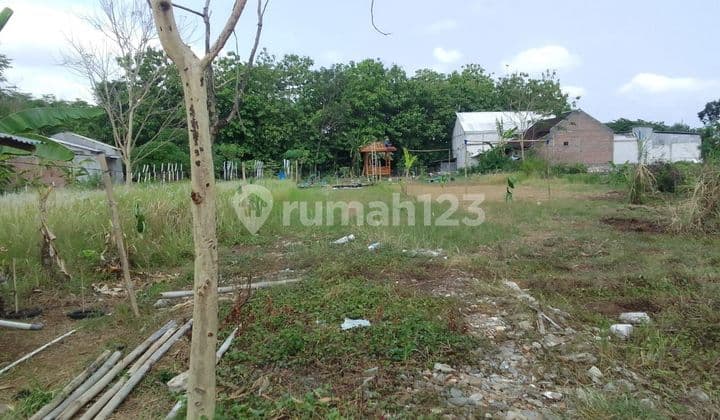 Tanah Pekarangan Imut View Pabrik Di Sukoharjo