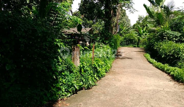 Deket Gudang Alfa Parung. Pasar Parung. Mall Parung. Wisata Gunung Sindur